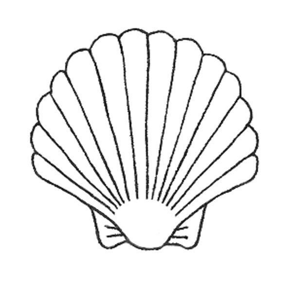 an outline of a shell on a white background