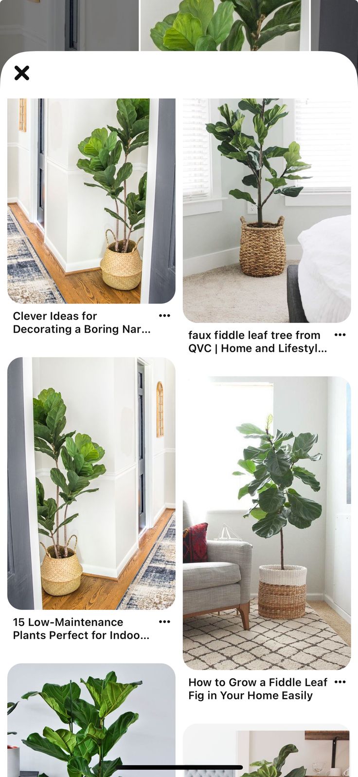 the instructions for how to decorate a houseplant in a living room or bedroom