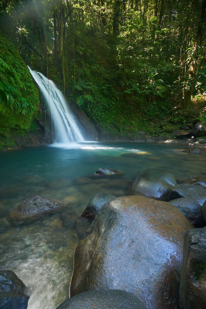 a large waterfall in the middle of a forest