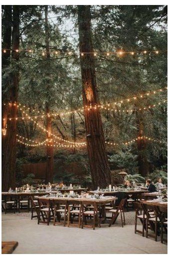 an outdoor dining area with lights strung from the trees and tables set up for dinner