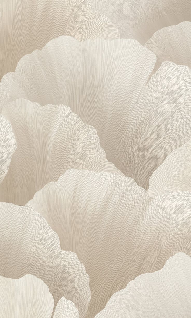 an image of white flowers that are in the middle of it's blooming petals