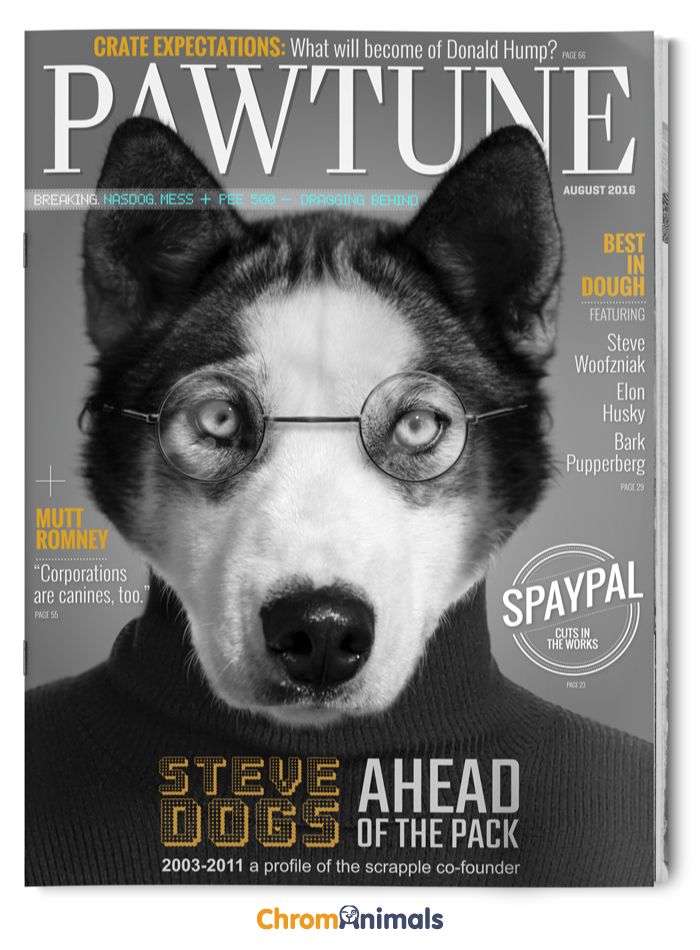 a dog wearing glasses on the cover of pawtune magazine, with caption that reads stay ahead dogs of the pack