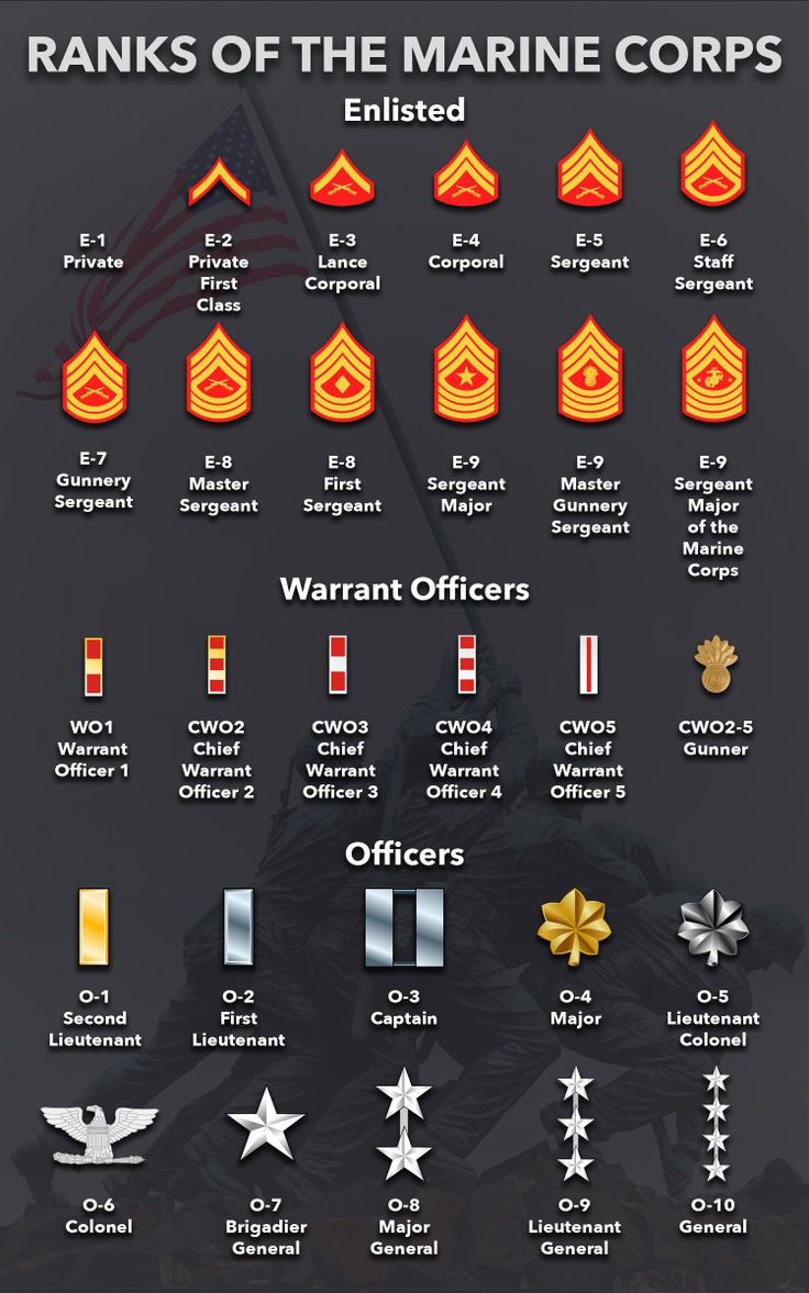 the marine ranks and insignias are displayed in this graphic style, with different colors