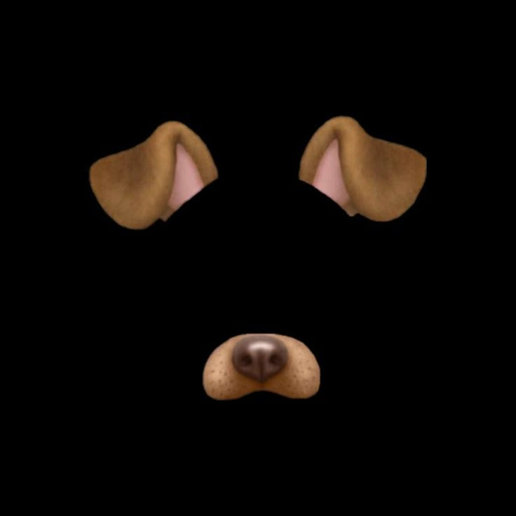 an animated dog's face is shown in the dark