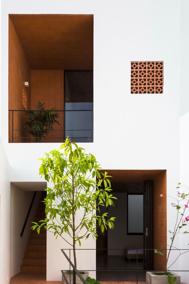 a house with plants and potted trees in the front yard