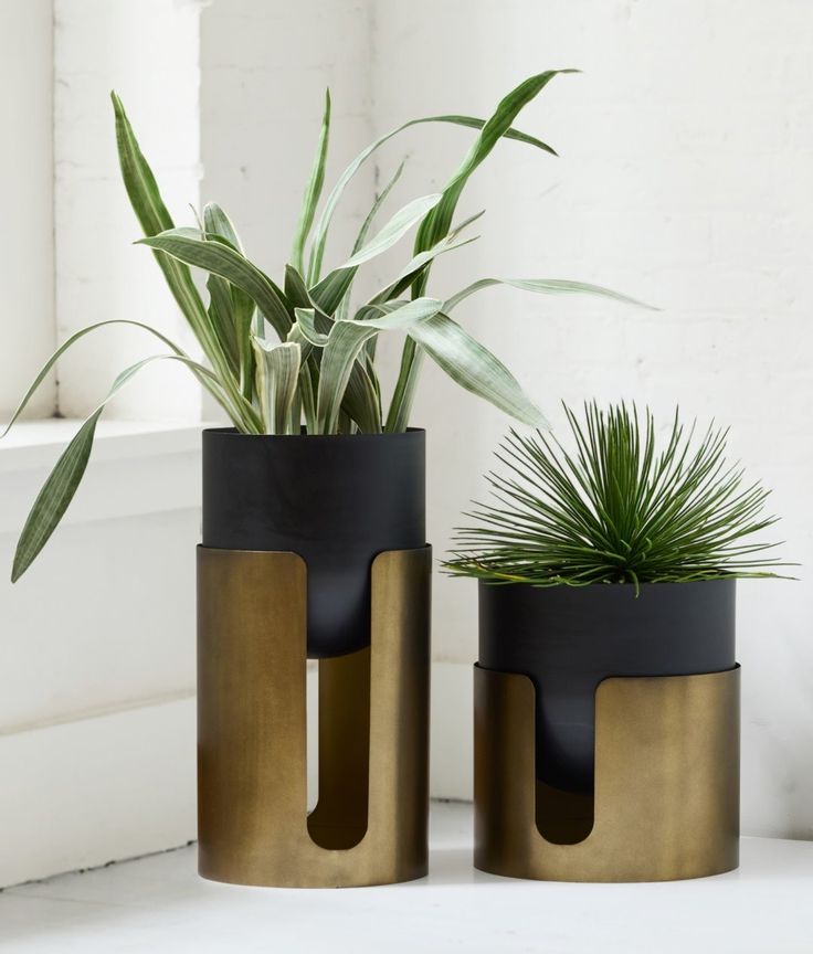 two black and gold planters with plants in them sitting on a white countertop