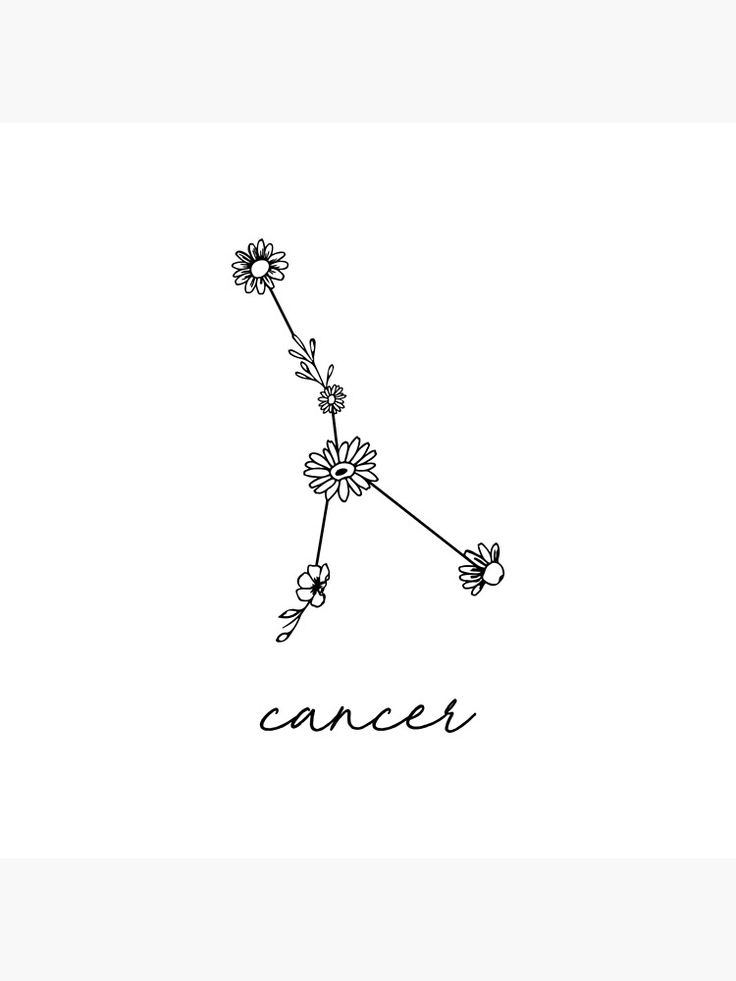 Phrase Tattoos, Constellation Art, Poppies Tattoo, Zodiac Tattoos, Zodiac Tattoo, Constellation Tattoos, Mini Tattoos, Inspirational Tattoos, Leg Tattoos