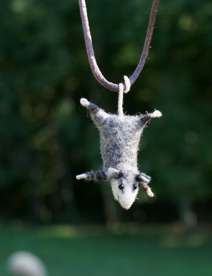 a stuffed animal hanging from a rope