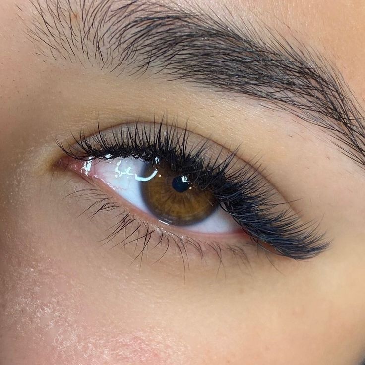 Sultry fox eyes are IN ✨ @lasshesbyliv created this look using Faux Mink Bold X40: 0.07 & 0.15 mm diameter | 8-12 mm with a few 13s #XtremeLashes #Lashista #LashExtensions Natural Fake Eyelashes, Lash Extentions, Lash Extensions Styles, Eyelash Extensions Styles, Perfect Eyelashes, Fox Eyes, Pretty Lashes, Natural Eyelash Extensions, Volume Eyelash Extensions