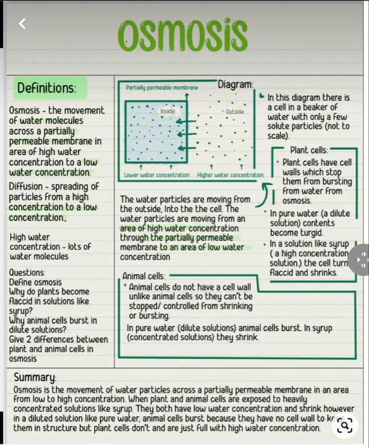 Study Guide Biology, Osmosis Revision Notes, Biology Notes Osmosis, Biology Flashcards Gcse, Biology Osmosis Notes, Osmosis Notes Biology, Gcse Science Revision Biology, Gcse Science Notes, How To Revise For Science