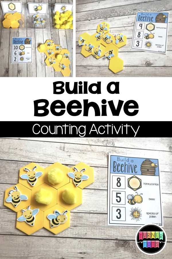 the beehive counting activity is shown with bees