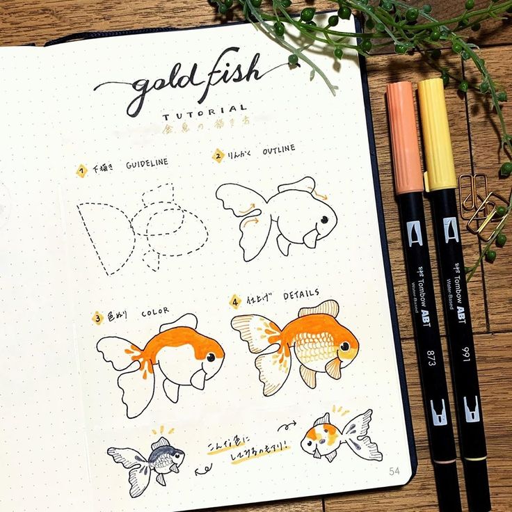 an open notebook with goldfish drawings and pencils next to it on a wooden table