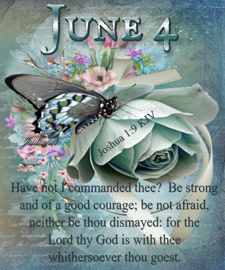 a blue rose with a butterfly on it and the words june 4 written in white