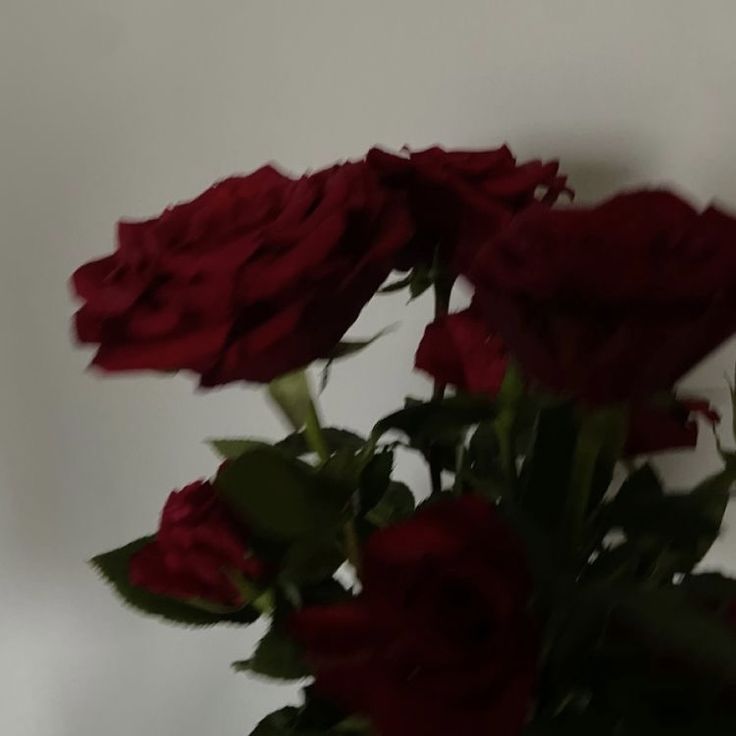 a vase filled with red roses on top of a table