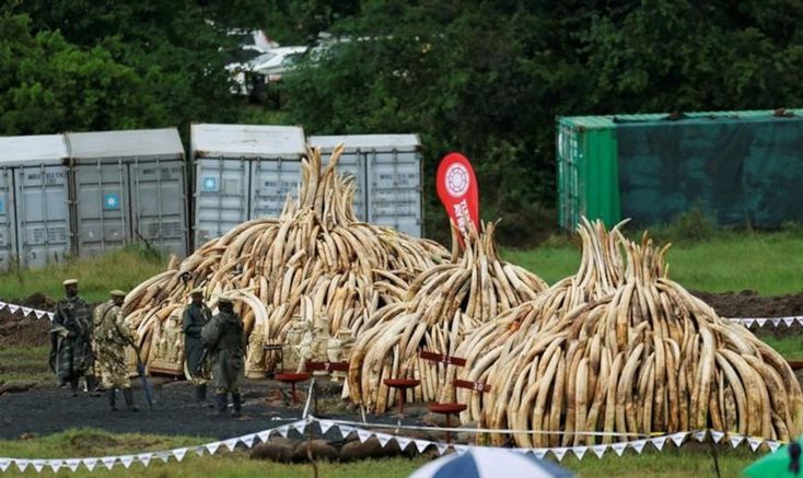 some people are standing in the dirt near many bundles of dead animals that have been placed together