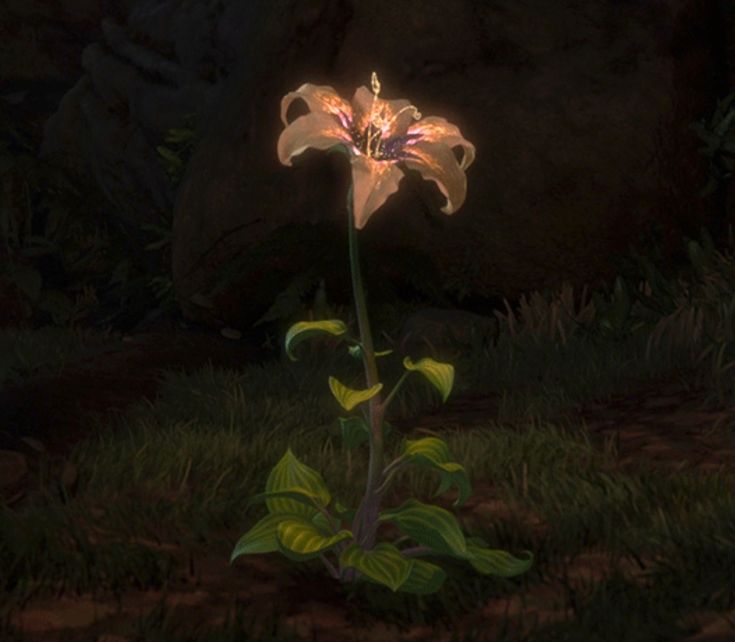 a flower that is sitting in the grass near some rocks and plants with lights shining on it