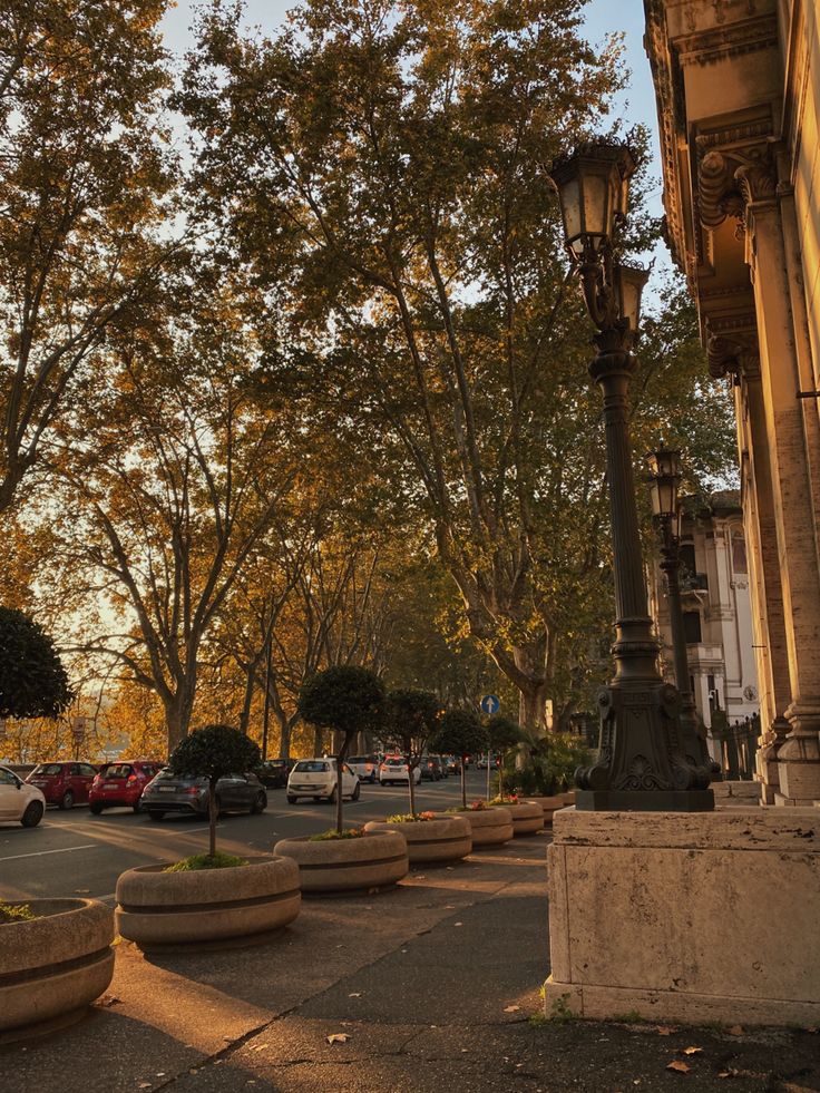 an empty street with cars parked on the side and trees lining the road behind it