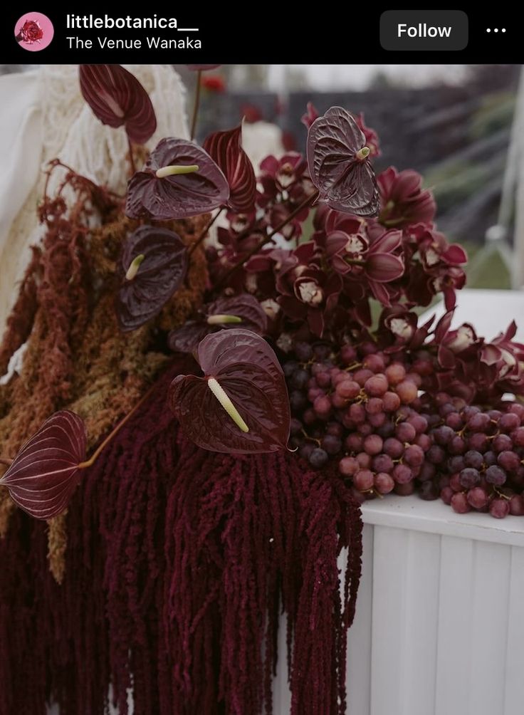 some purple flowers and other plants on a white fence