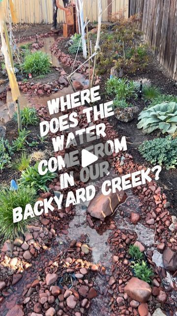 a garden with rocks and plants in it, which says where does the water come from in our backyard creek?