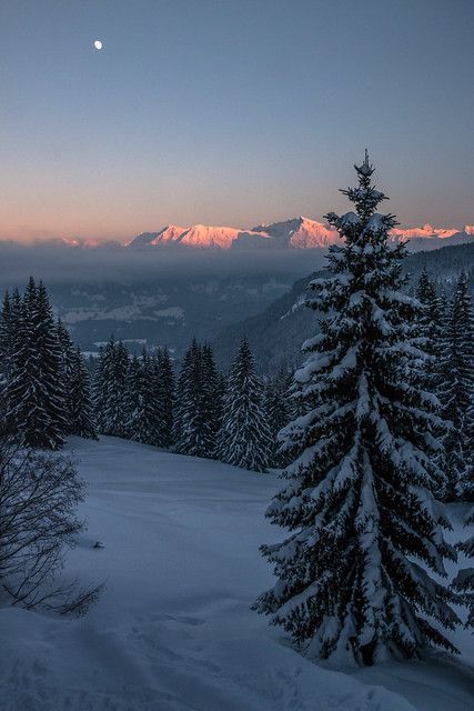 the sun is setting on a snowy mountain with pine trees and mountains in the background