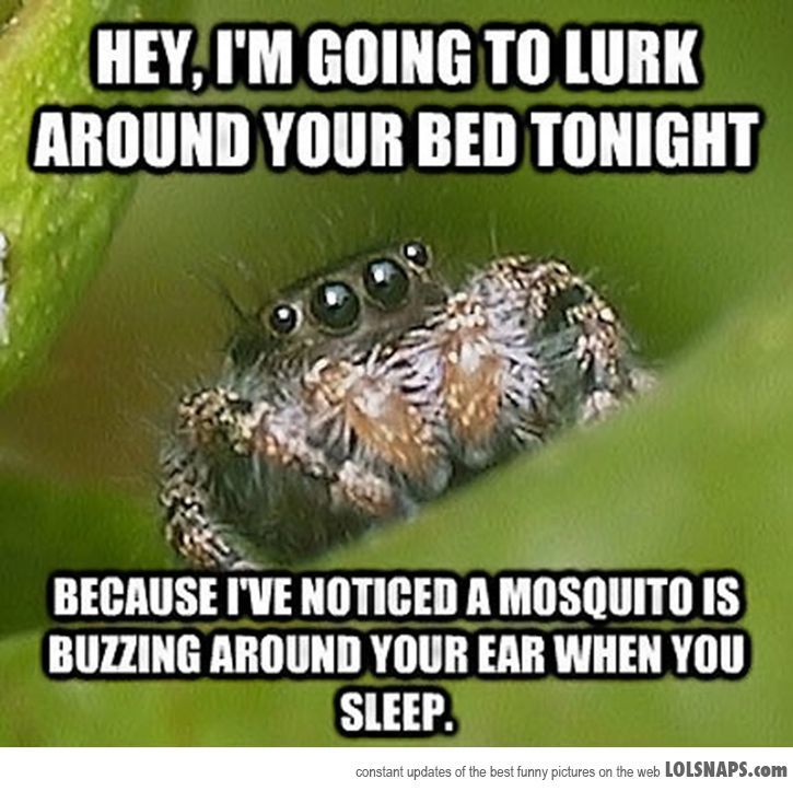 a spider sitting on top of a green plant with the caption meow just kidding i'm a spider