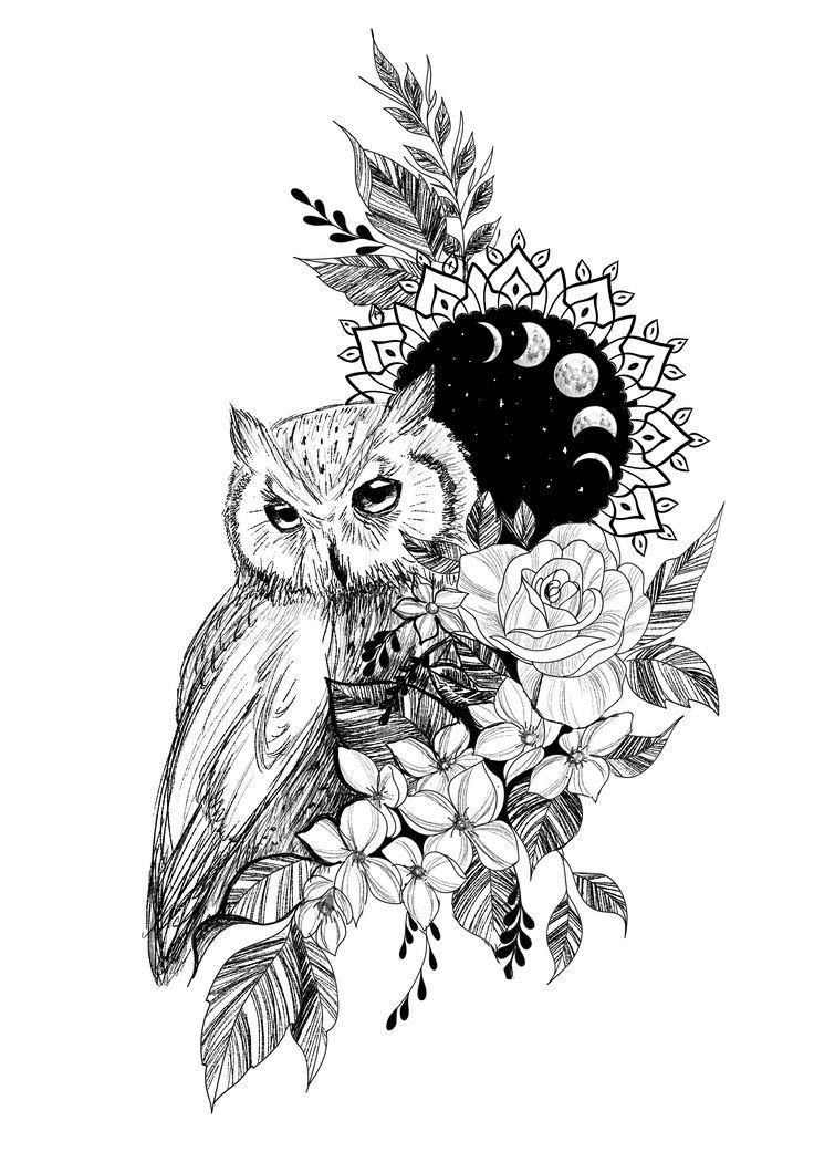 an owl sitting on top of a tree branch with flowers and moon in the background