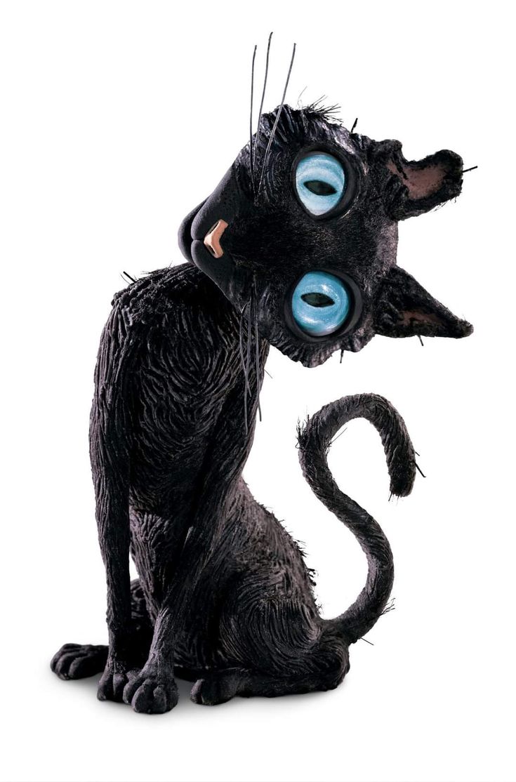 a black cat with blue eyes sitting on top of it's hind legs and looking at the camera