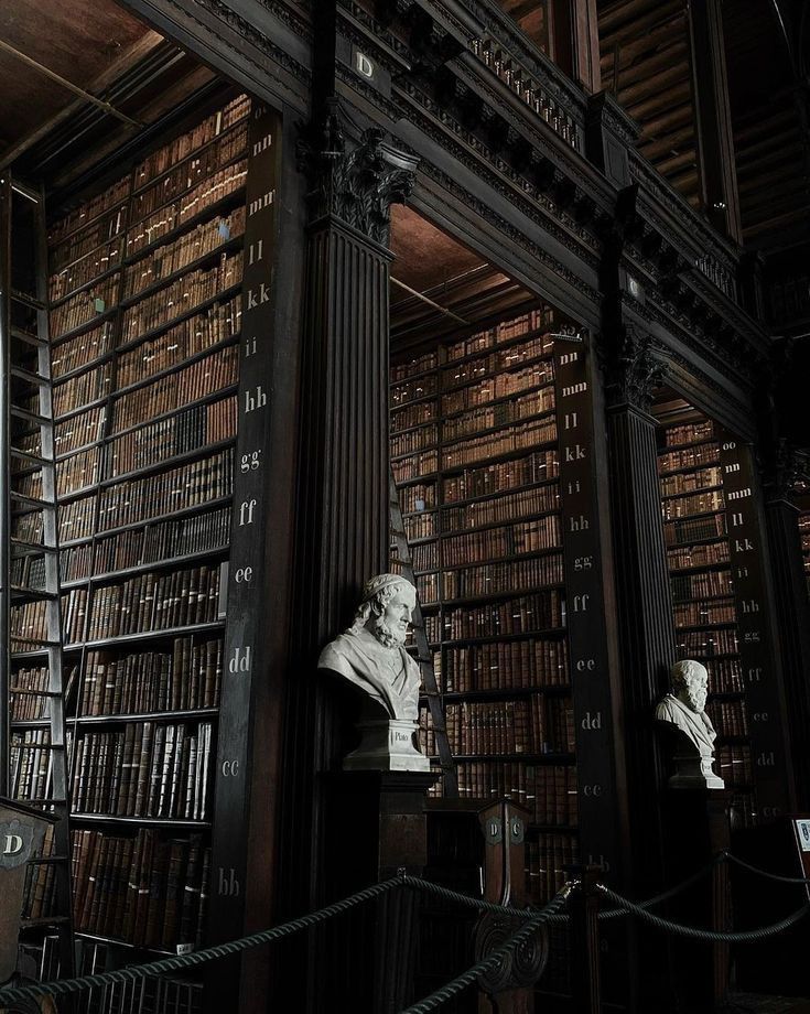 an old library filled with books and busturines