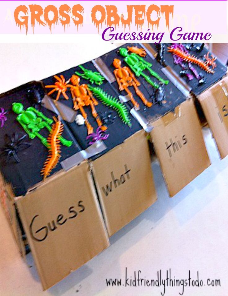 the gross object guess game is made from cardboard boxes with toy figures in them and words that read gross object