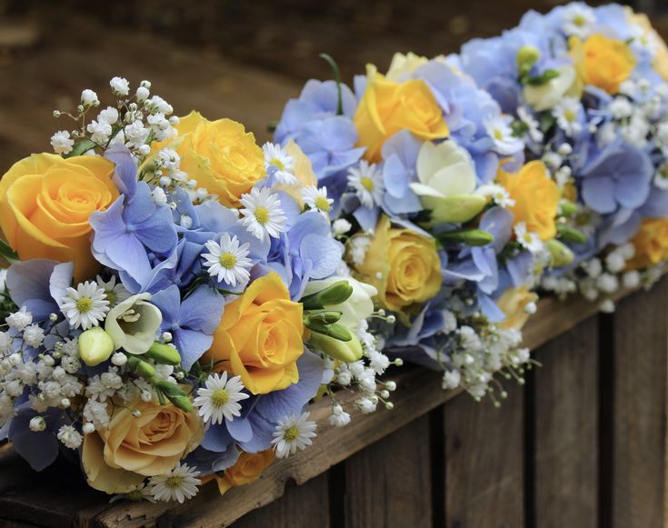 blue and yellow flowers are lined up on a bench