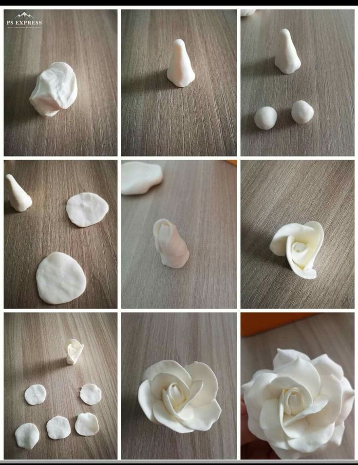 several pictures of white flowers and petals on a table