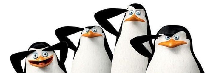 three penguins are standing in the same direction