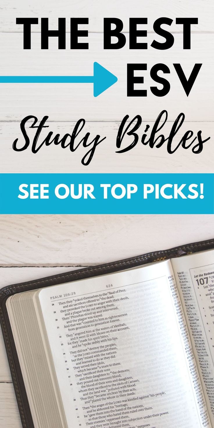 the best esv study bibles see our top picks for every student's needs