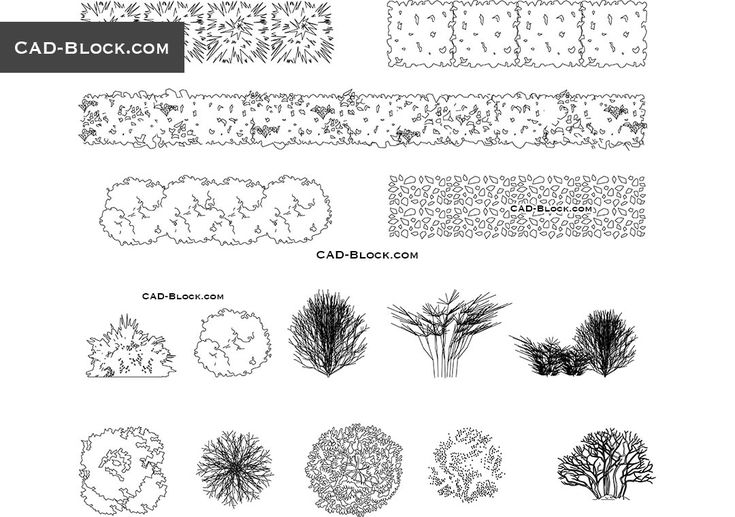 various types of trees and shrubs are shown in black and white, with the words cad block