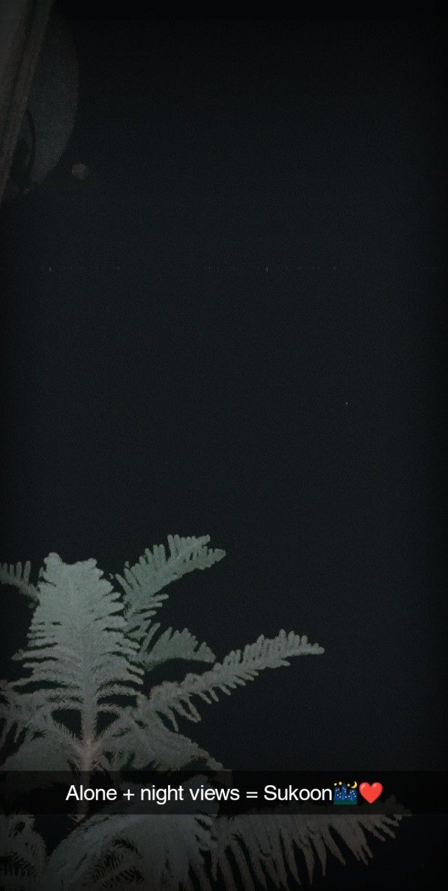 an image of a tree in the dark