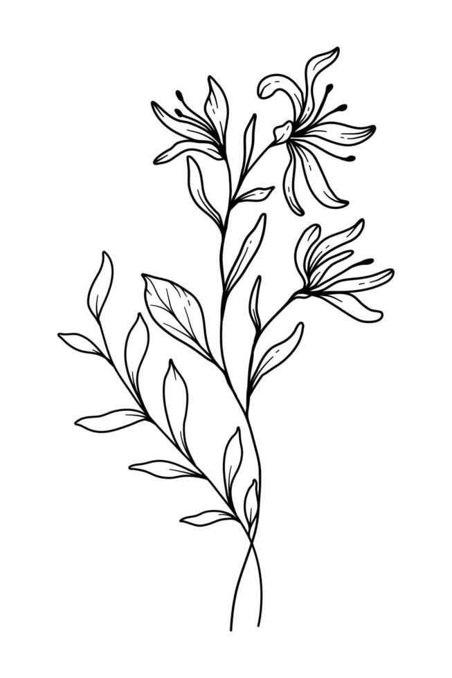 Honeysuckle Line Art. Honeysuckle outline Illustration. June Birth Month Flower. Honeysuckle outline isolated on white. Hand painted line art botanical illustration. Honeysuckle Drawing Tattoo, Poppy And Honeysuckle Tattoo, Sweet Pea And Honeysuckle Tattoo, Honeysuckle Tattoo Traditional, Honeysuckle Fine Line Tattoo, Honeysuckle Drawing Simple, Dainty Honeysuckle Tattoo, Fine Line Honeysuckle Tattoo, Honeysuckle Outline