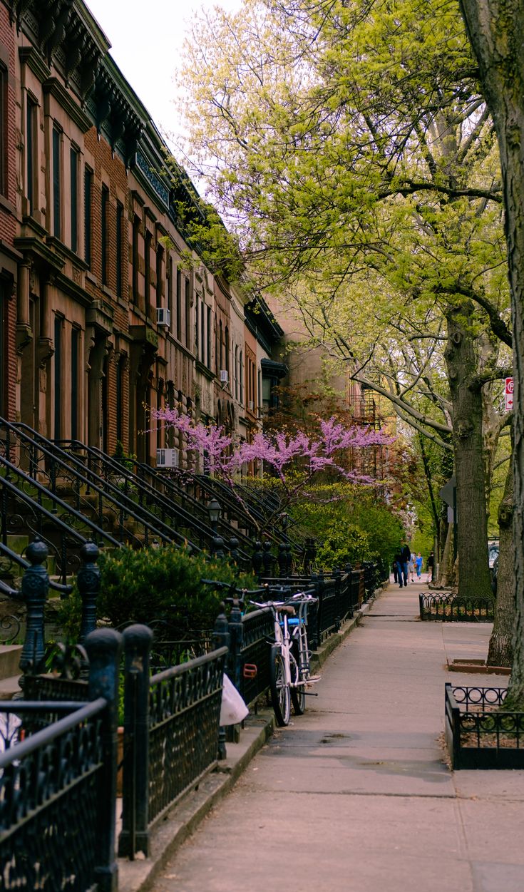 the sidewalk is lined with benches and railings, along with trees in blooming