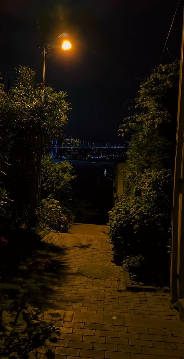 a street light shines brightly in the night sky over a brick path leading to trees and bushes