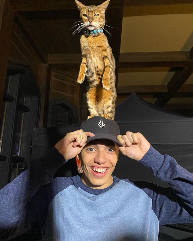 a cat standing on top of a person's head while they both look at the camera