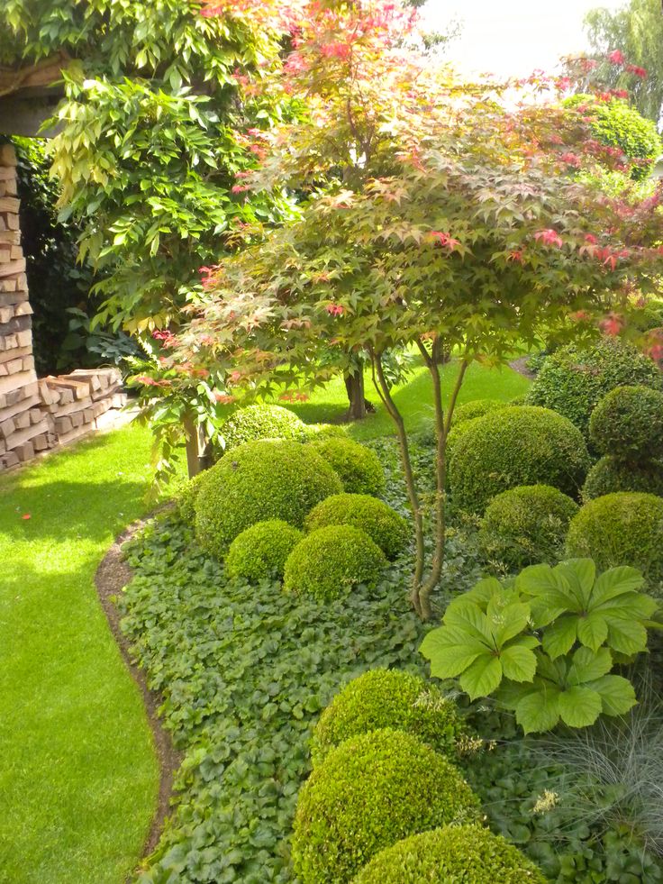 a garden with lots of green plants and trees in it's center, surrounded by grass