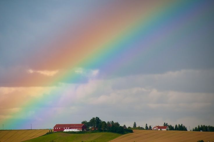 a rainbow shines in the sky over a farm