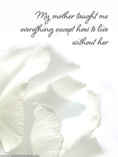 a white flower with the words my mother taught everything except how to live without her