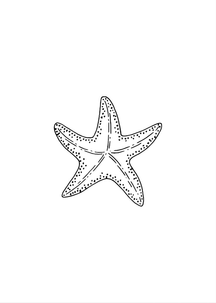 a starfish is drawn in blue ink on a white background