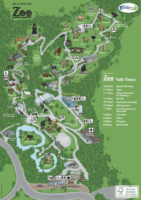 the zoo map with all its attractions