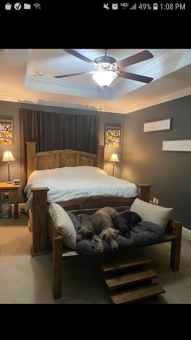 a dog laying on top of a bed in a bedroom