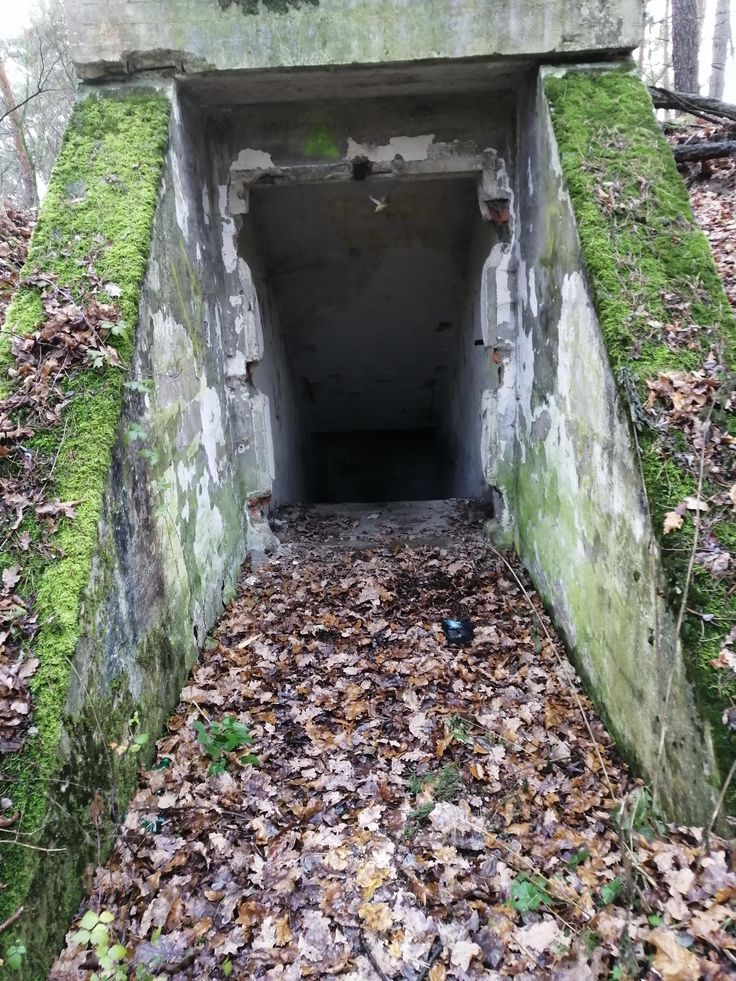 an old concrete tunnel with moss growing on it