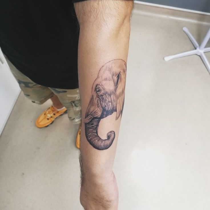 an elephant tattoo on the arm of a man