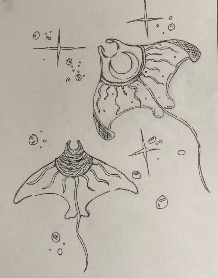 a drawing of a flower and an object in the air with water droplets coming out of it