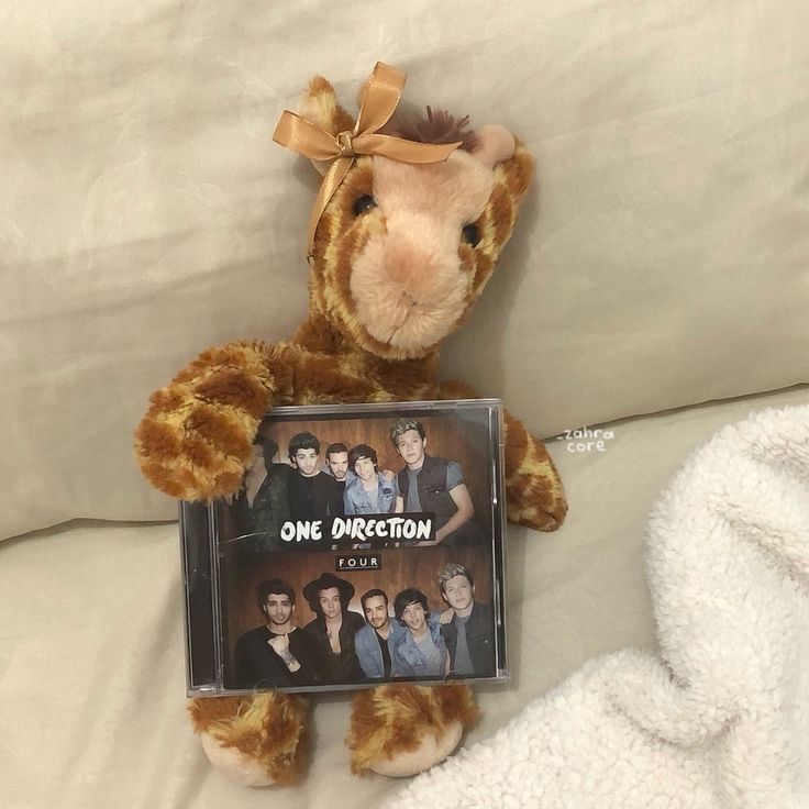 a stuffed animal with one direction on it's chest holding a dvd in its hand