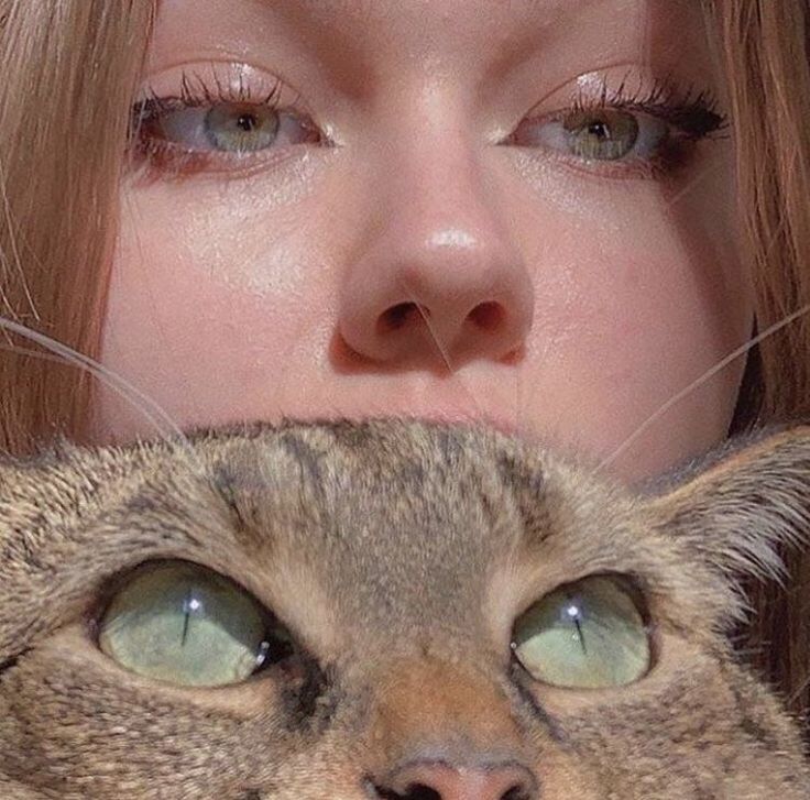 a close up of a person with a cat in front of her face and one eye open